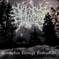 Conception Through Destruction