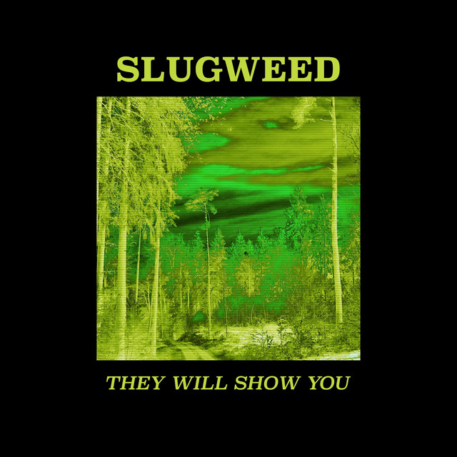 They Will Show You