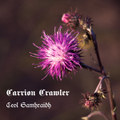 Ceol Samhraidh