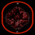 Monolith of Gnosis
