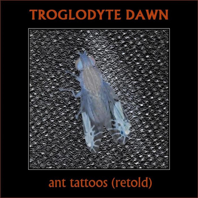 Ant Tattoos (Retold) [Remastered]