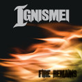 Fire Remains