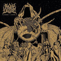 March of the Divine