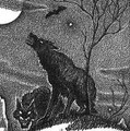 Lycan Hunter
