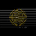 Noah's Lark