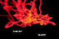 The Ep