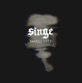 Swallowed