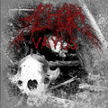 VAYUS