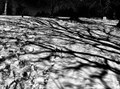 fall demo