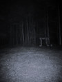 Into the Black Realm