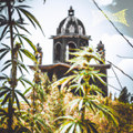 Stoned Temple