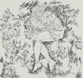 Decompression - EP