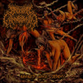 Skewered Torso (Ft. Haruka of Traumatomy/Gorevent)