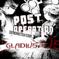 Post-Operation Demonstration