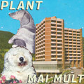 Mai mult