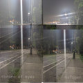 halogen