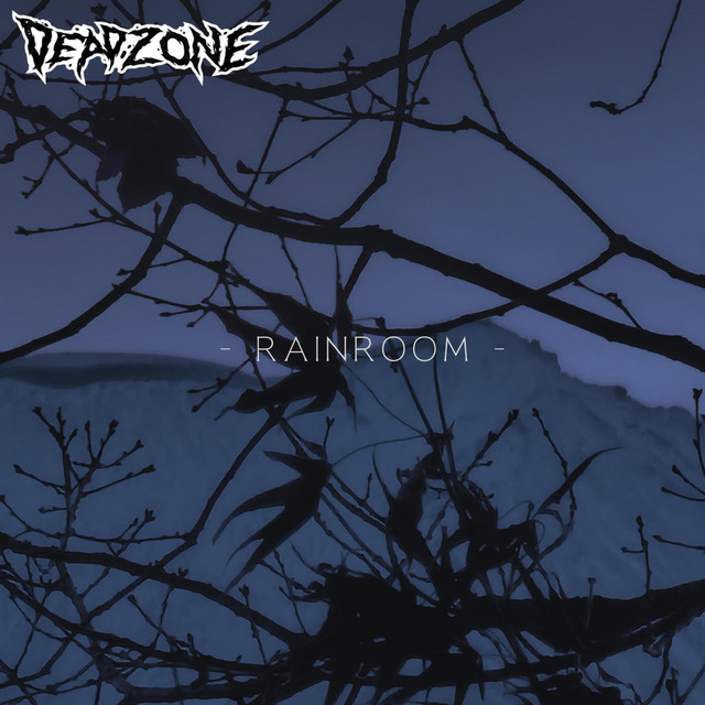 Rainroom