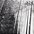 Shutdown (Single)