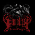 Storm Dragon
