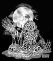 Embryonic Catacombs Promo