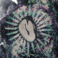 Old Wounds split 7"