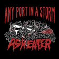 Any Port In A Storm