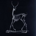 Ropewalker Demo/EP