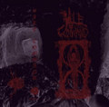 S/T Demo