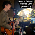 Memory Lane (live acountic)
