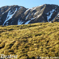 A Mountain Farewell