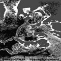 Shadow Illumined
