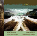 Calling Signals 07 from Cafe Sting - Gjerstad Pedersen Stephens Moholo