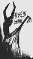 S/T DEMO