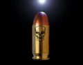 Bullet