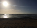 Sun Canticle
