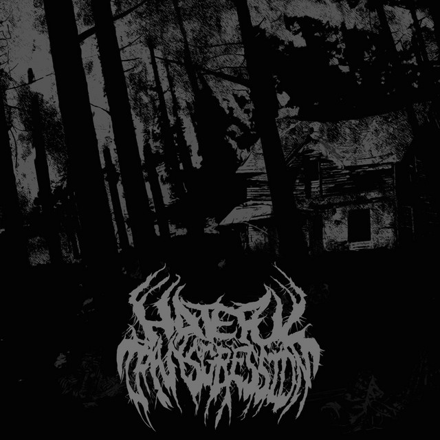 Hateful Transgression