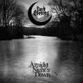 Amidst Night's Dawn