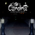 voidwalker
