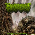 Desecration of Orgasmic Torture
