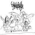 Not A Black Metal Band