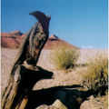 War Bird
