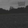 Instrumental Demo
