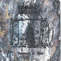 Descension of Man