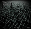 The Liars Labyrinth