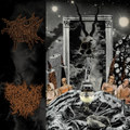The Tooth / Primitive Rage