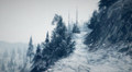 In the Embrace of Wintry Spells