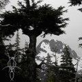 The Land of Moss & Snow
