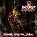 Roam The Wounds
