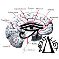 Musics Movement