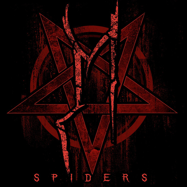 Spiders